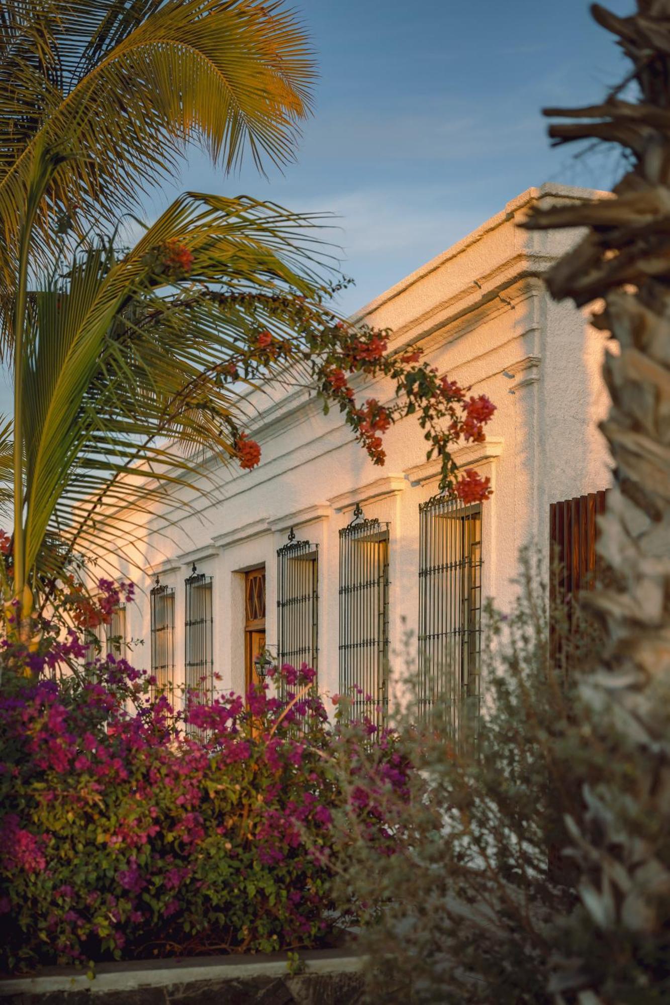 Baja Club Hotel, La Paz, Baja California Sur, A Member Of Design Hotels Ngoại thất bức ảnh